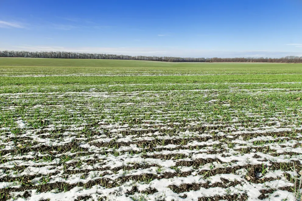 Сезон «ROSA» 2026: Выходим в поле, пока другие ждут
